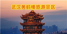 插女人免费