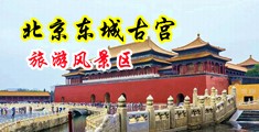 男人j进入女人B无遮挡中国北京-东城古宫旅游风景区