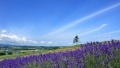 超逼片日本一地6日游  境外旅游 6880元/人